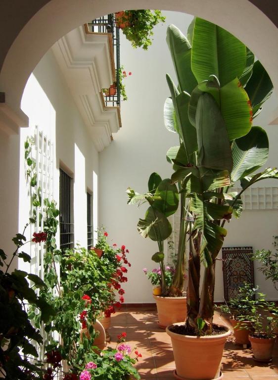 Casa Atlantica Beautiful Apartments Rota Esterno foto